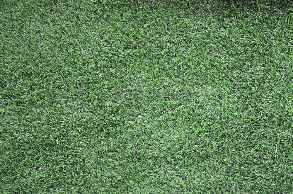 Similar – lawn edge Green Soft Grass