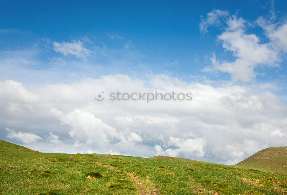 Similar – green meadow Meadow Hiking