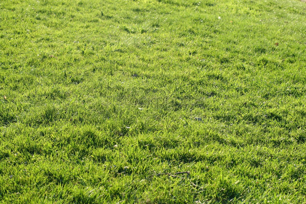 Similar – Sitting in the Herrngarten