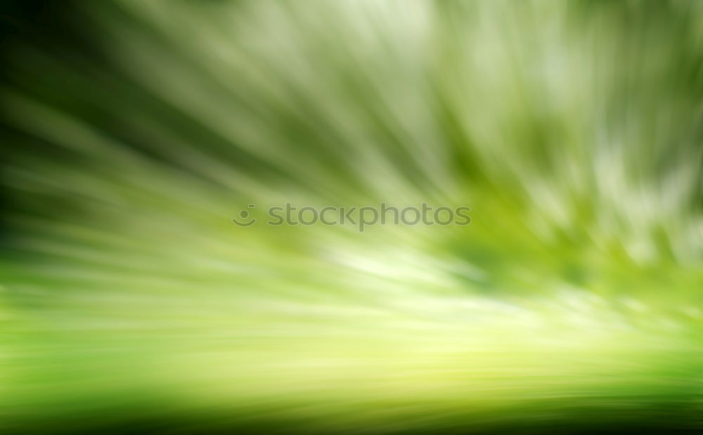 Similar – Image, Stock Photo Raindrops on a green leaf