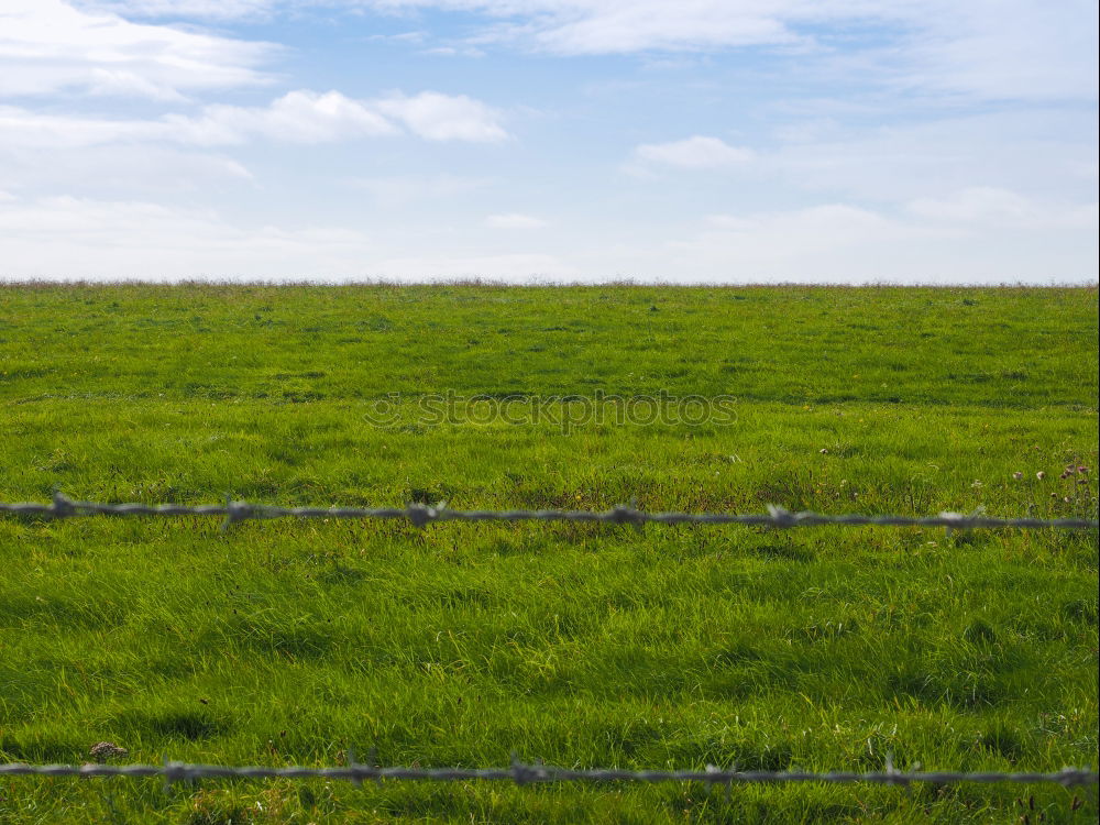 Similar – One shed 2 Barn Field