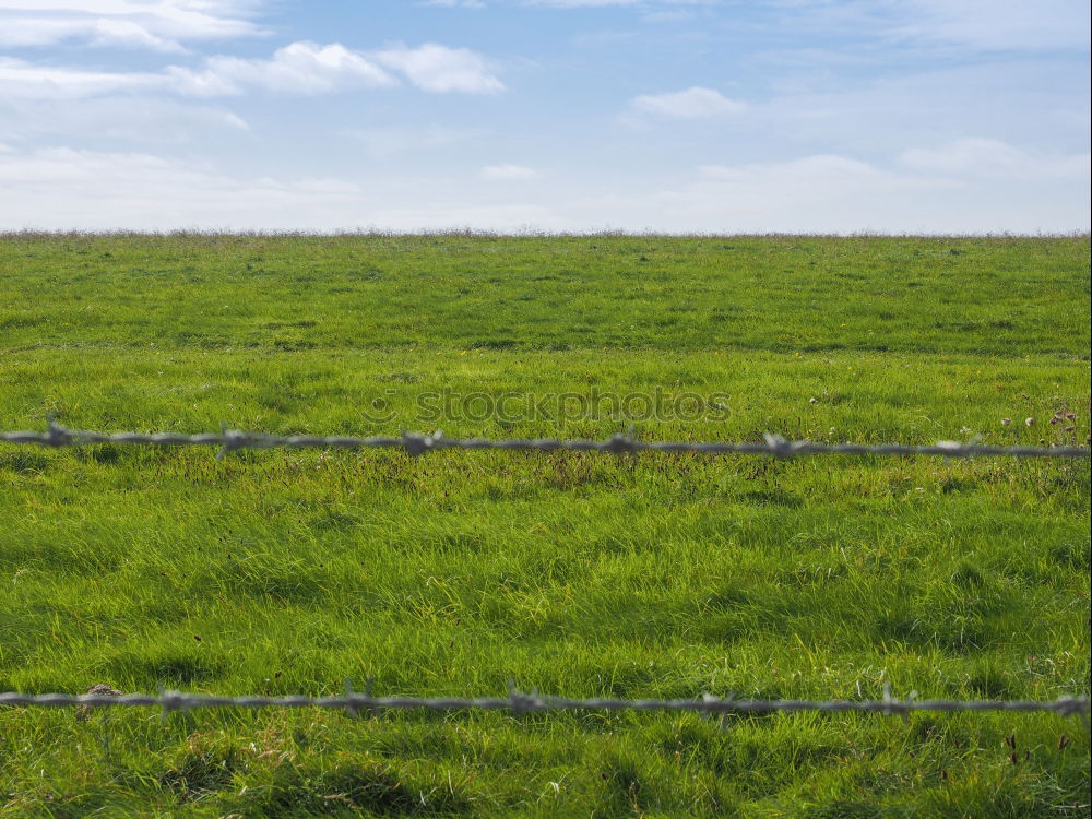 Similar – Tempelhof Field Berlin