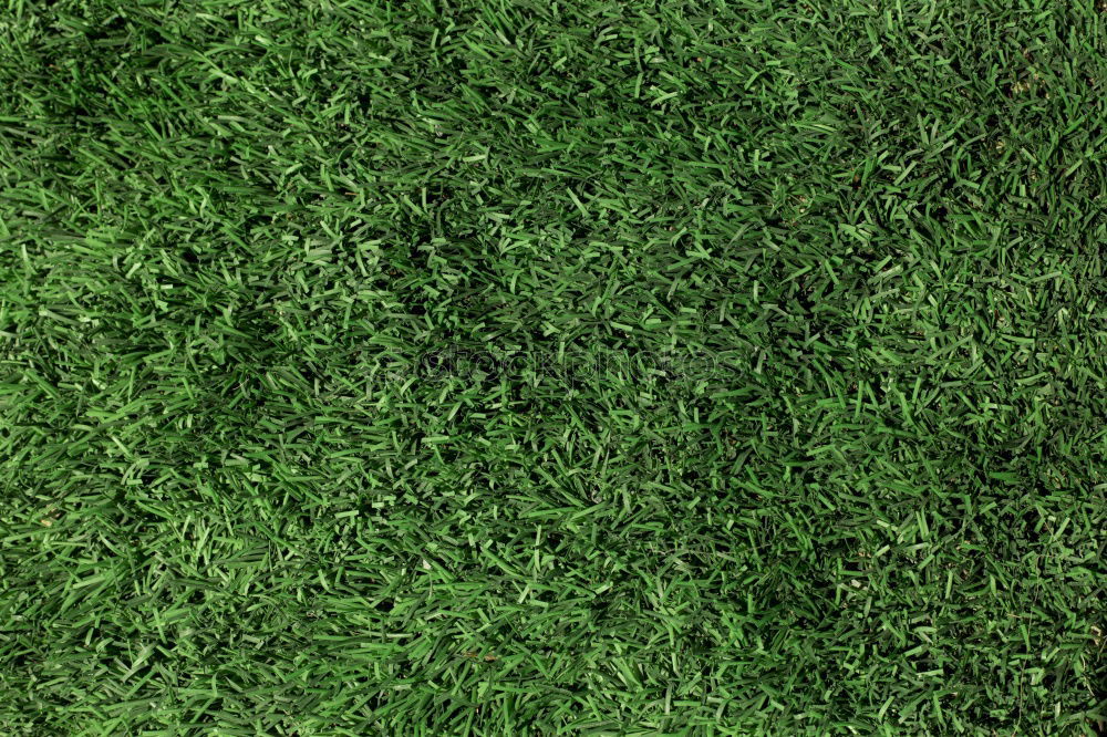 Similar – Image, Stock Photo T(carpet) Sports