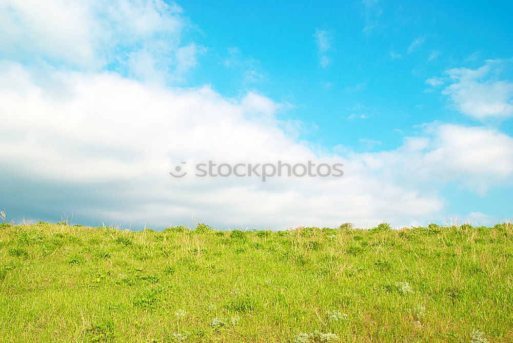 Similar – Image, Stock Photo Kirke. Environment Nature