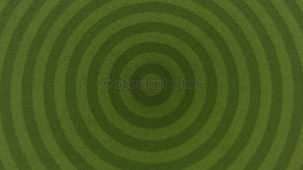 Image, Stock Photo Follow the green 2 Air