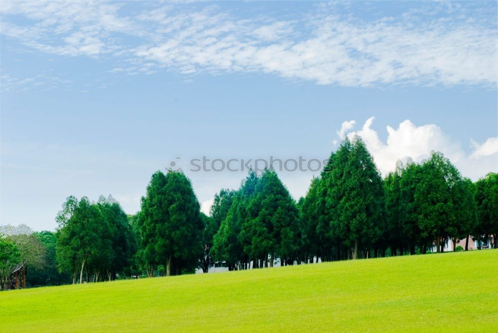 Similar – Image, Stock Photo Bowling green English