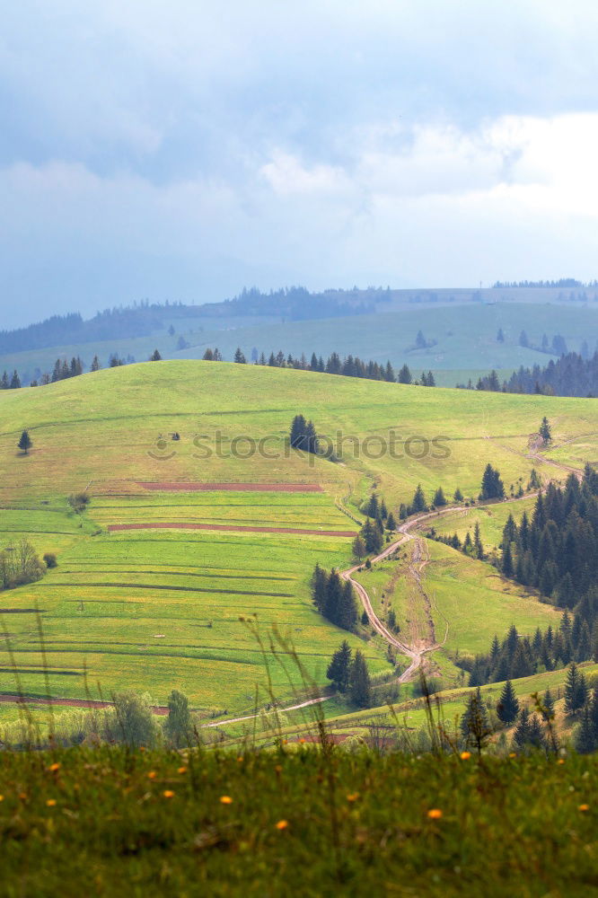 Similar – Image, Stock Photo Autumn garden in Carpathian mountains