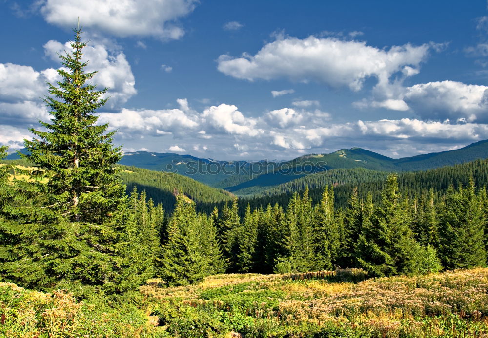 Similar – Image, Stock Photo Diamond Peak Landscape