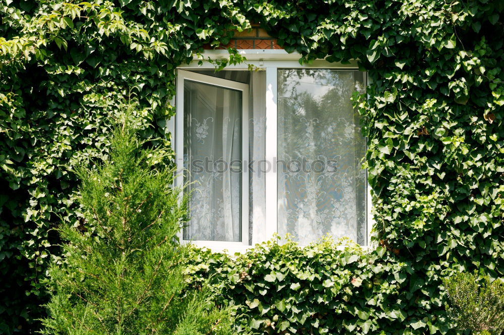 Similar – Image, Stock Photo Peace to the huts