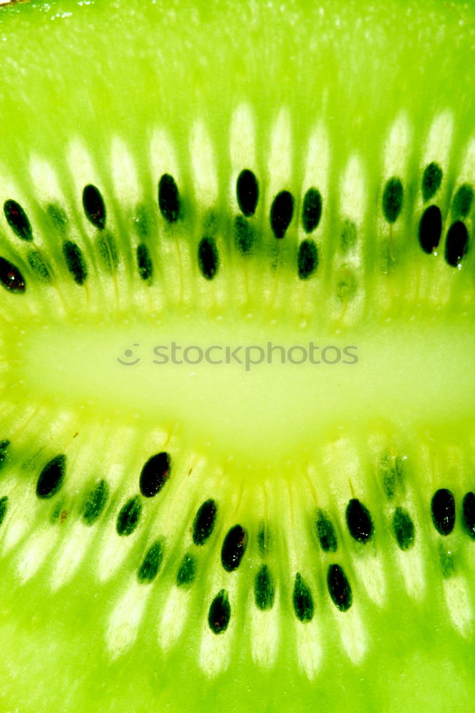 Similar – Image, Stock Photo #AS# melon+bite=sutsch Art