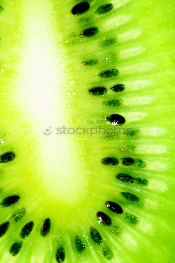 Similar – Image, Stock Photo #AS# melon+bite=sutsch Art