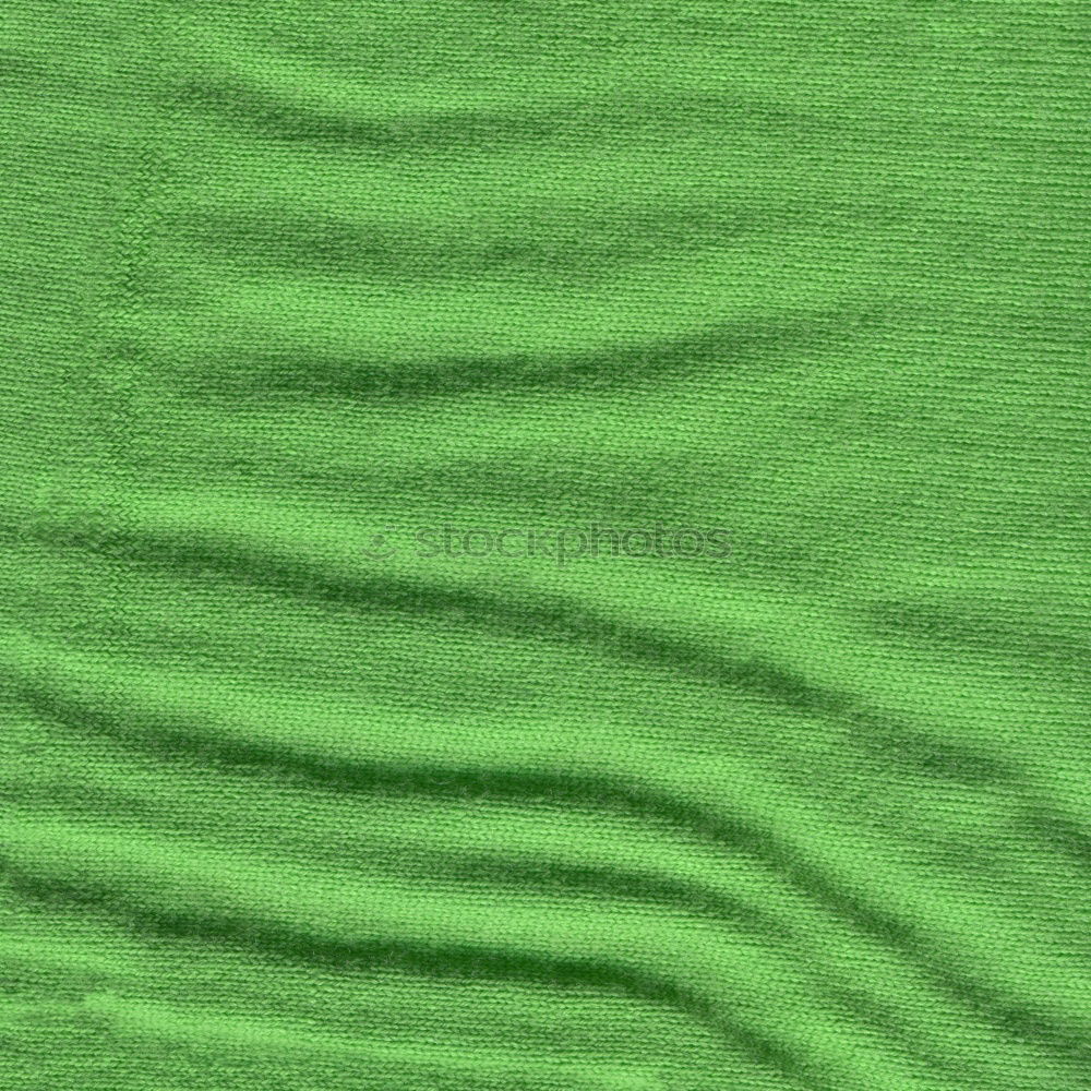 Similar – Image, Stock Photo green megablatt Plant Leaf
