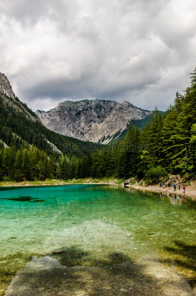 Similar – Image, Stock Photo Lake Swan Environment