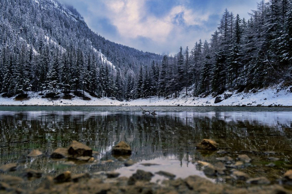 Similar – Alpine forest and snowy Alps near Eibsee lake