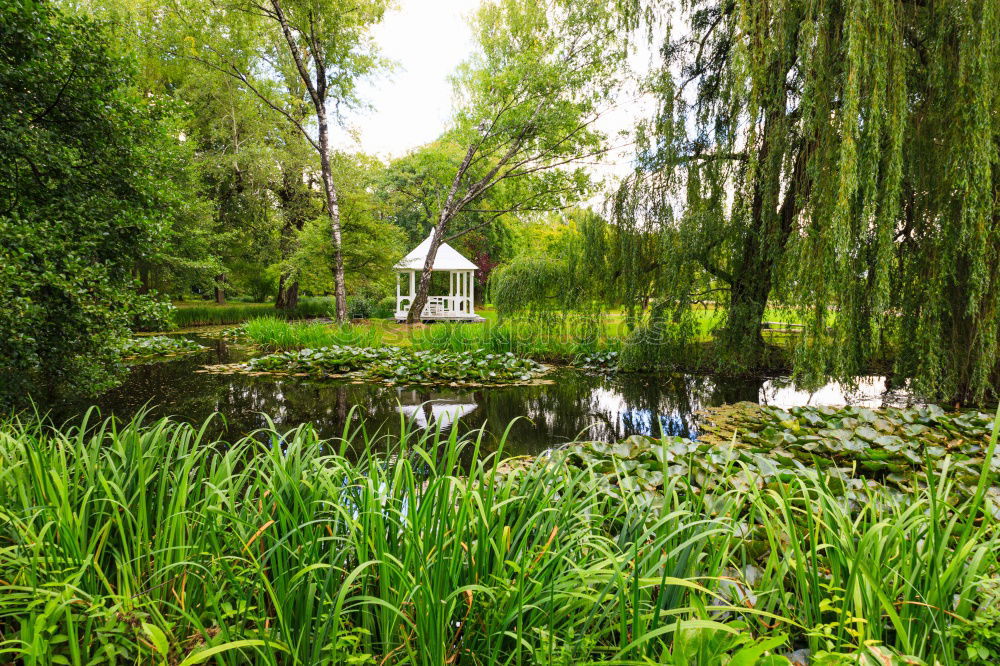 Similar – Image, Stock Photo Building in the Spreewald in Lehde