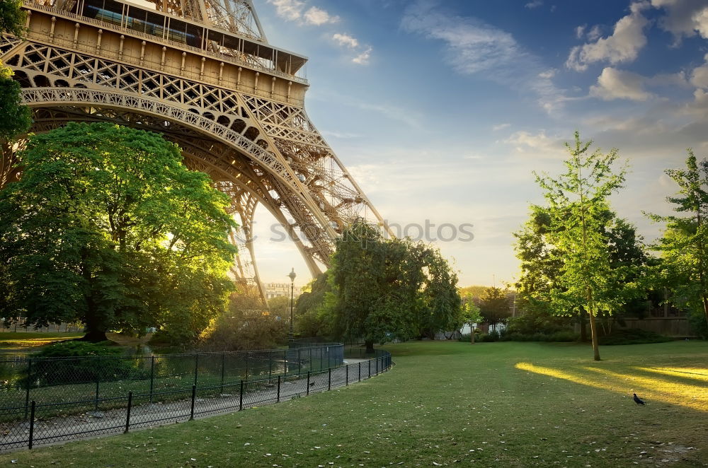 Similar – Image, Stock Photo Eiffel Tower, Paris, France