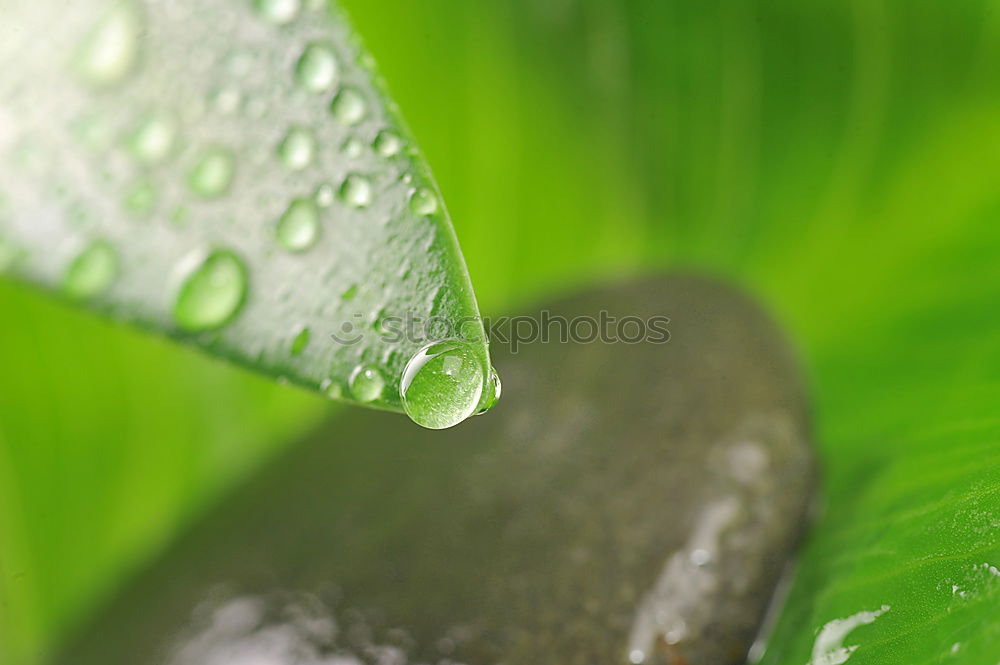 Similar – Image, Stock Photo water drops Style