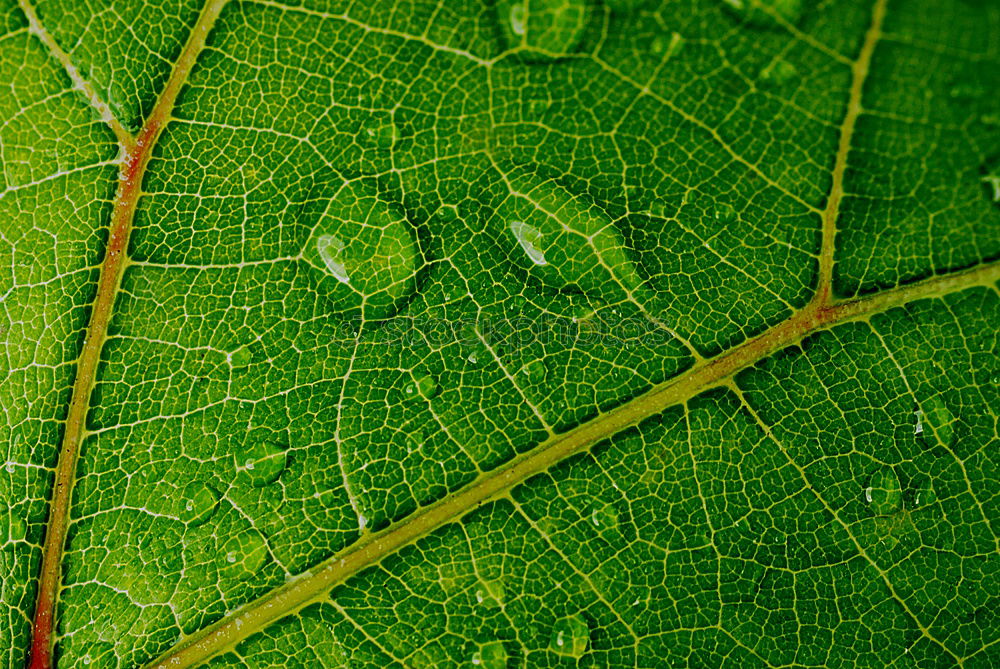 Similar – Water drop in the nature