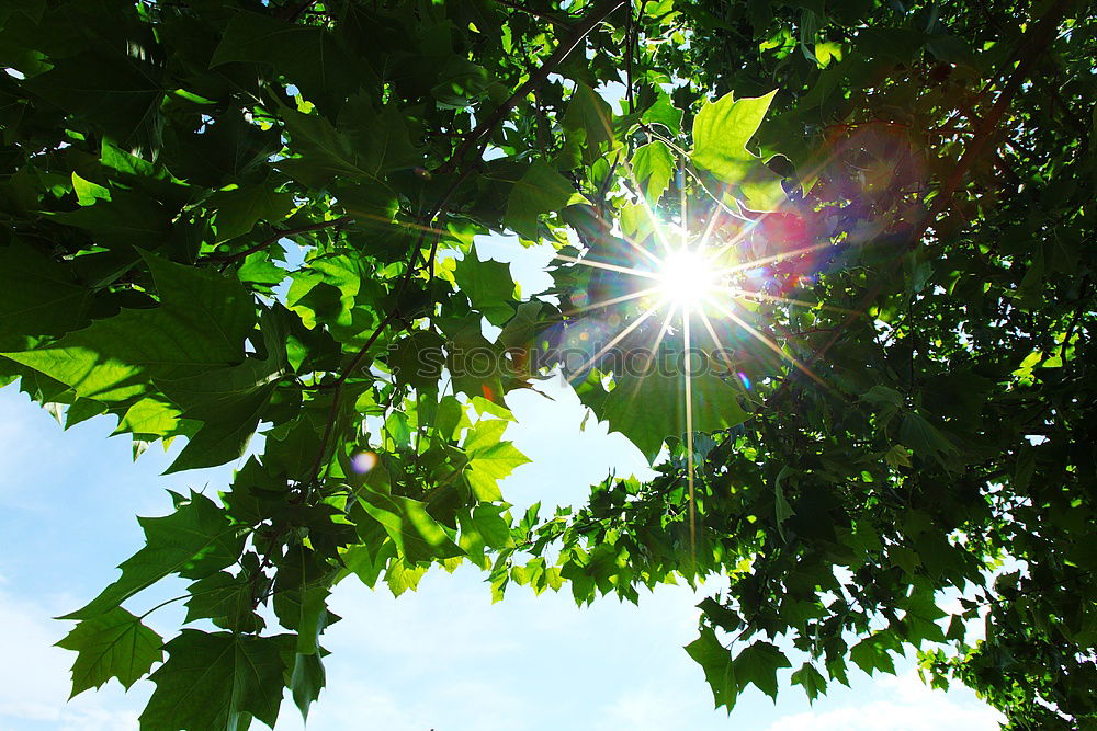 Similar – Image, Stock Photo 25 [picnic view 1] Joy