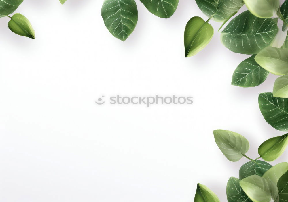 Similar – Image, Stock Photo Nature background with green leaves