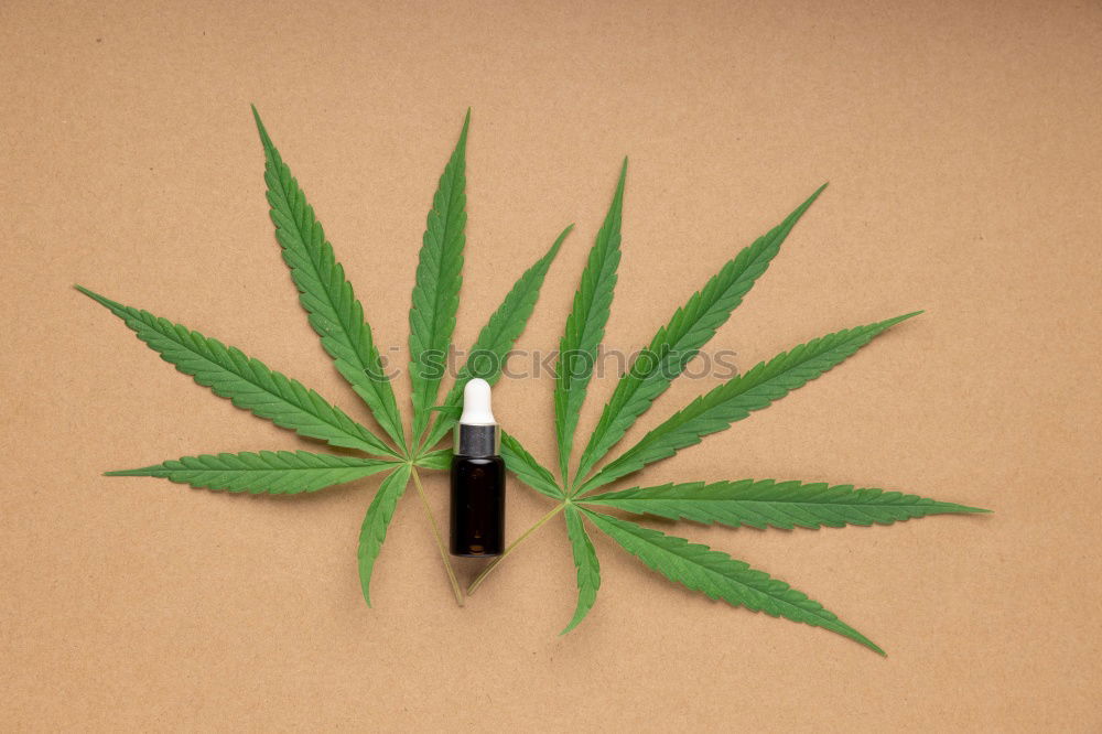 Similar – Image, Stock Photo Cannabis