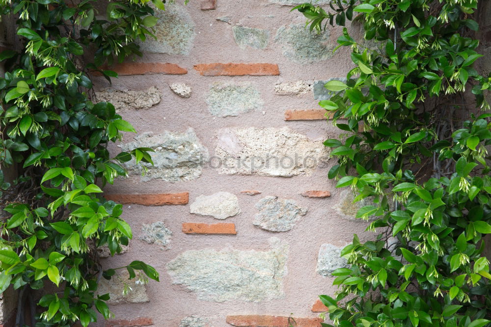 Similar – Image, Stock Photo .climbing wall.