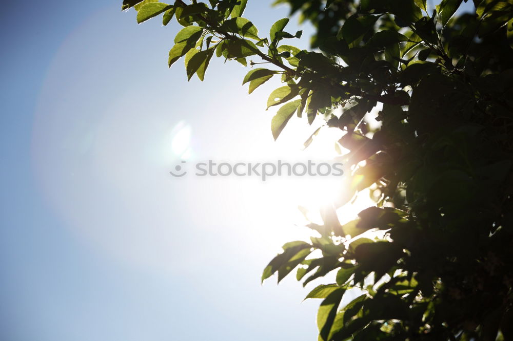 Similar – Image, Stock Photo 25 [picnic view 1] Joy