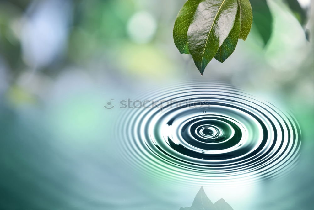 Beautiful and green landscape view through a crystal ball