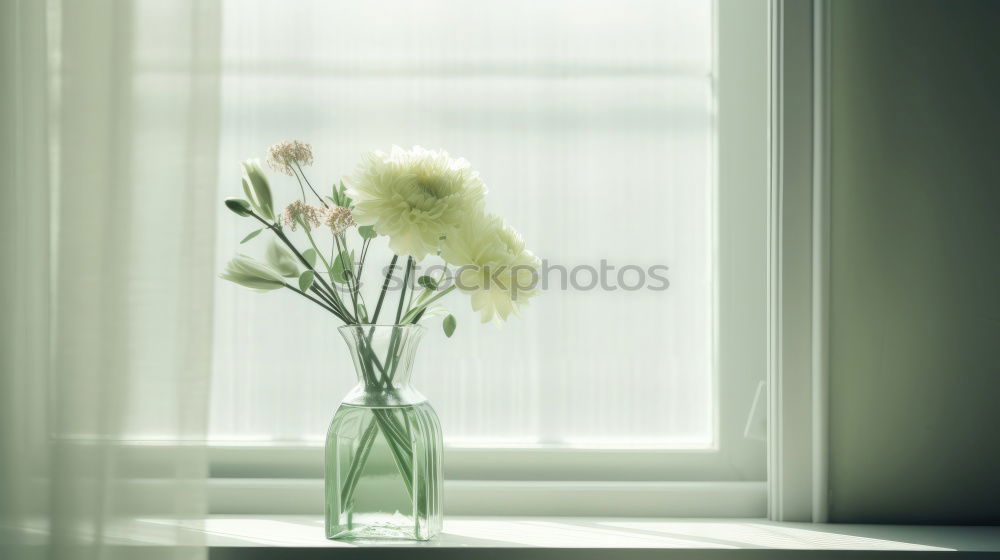 Similar – flower basket Plant Flower