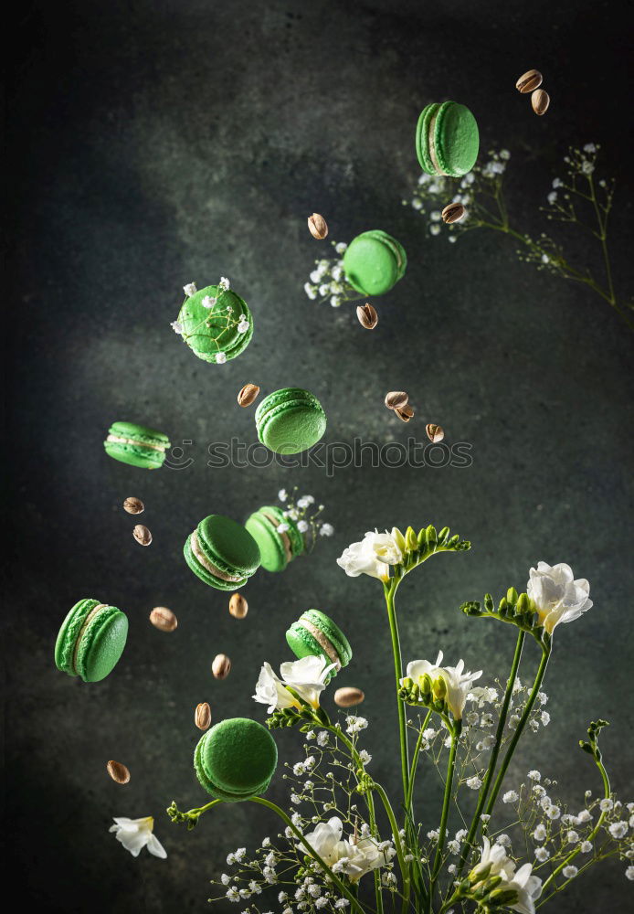 Similar – Image, Stock Photo Beautiful flowers with leaves and decoration for bouquets
