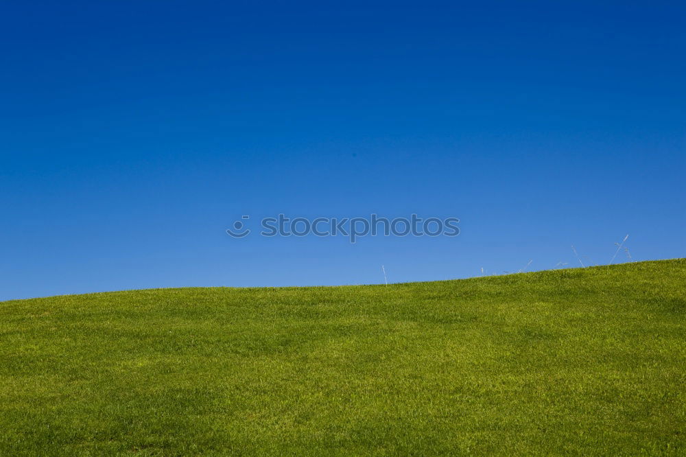 Similar – large green meadow_03