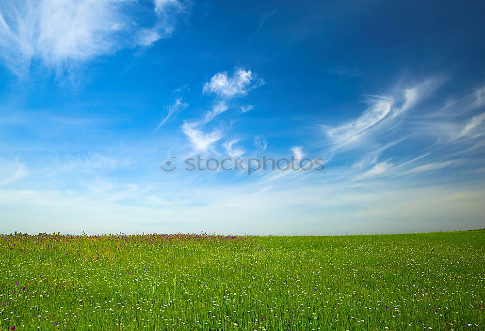 Similar – Image, Stock Photo yeah, that’s a rapsfeld too is a rapsfeld…