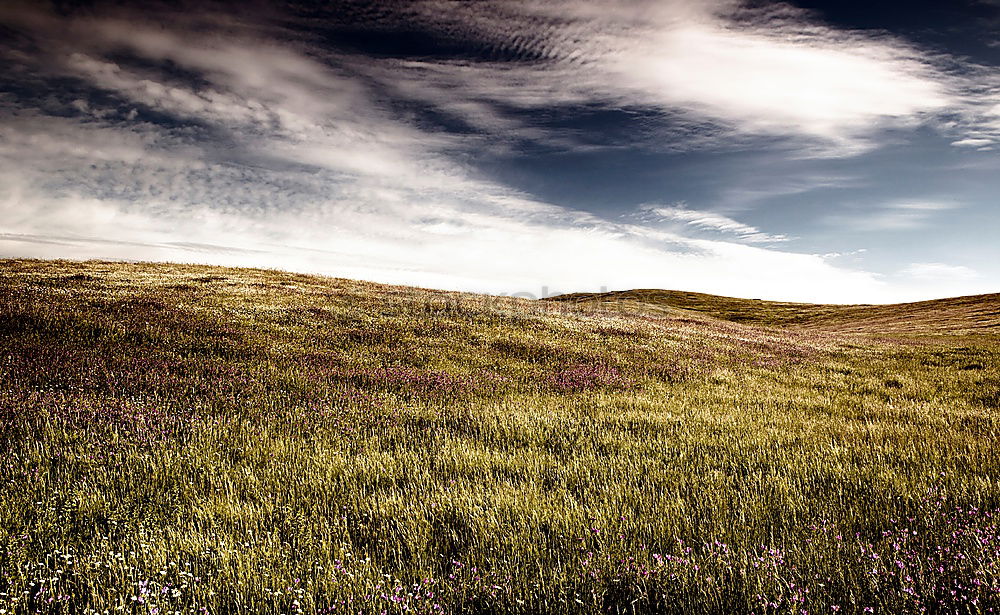 Similar – Image, Stock Photo old fence Horizon Shabby