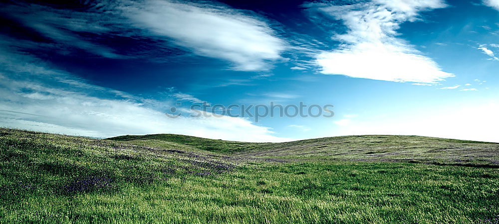 Similar – Image, Stock Photo old fence Horizon Shabby