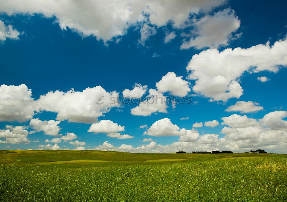 Similar – Image, Stock Photo vault Sky Clouds Grass