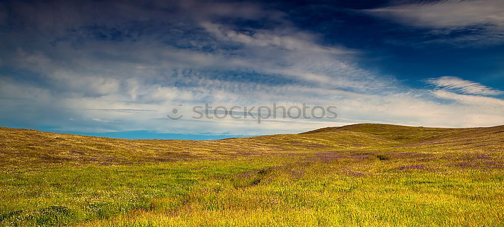 Similar – Image, Stock Photo Lonesome Farmhouse At The Village Brae Of Achnahaird Near Achnahaird Beach in Scotland