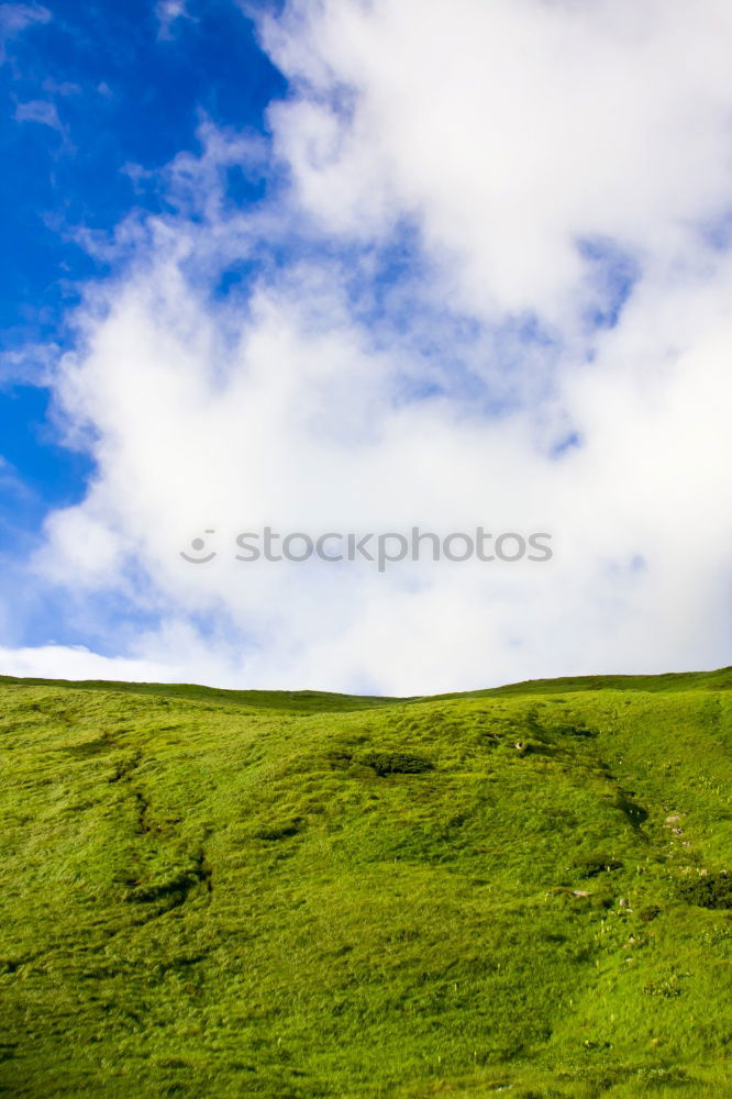 Similar – Image, Stock Photo grass border Environment