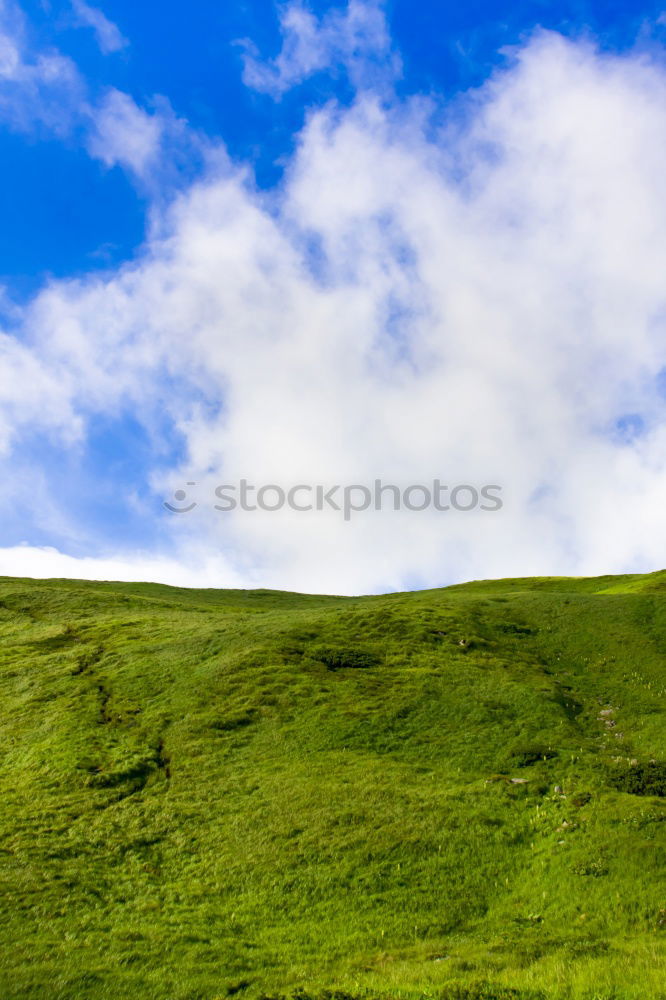 Similar – Image, Stock Photo Behind the Wall Nature