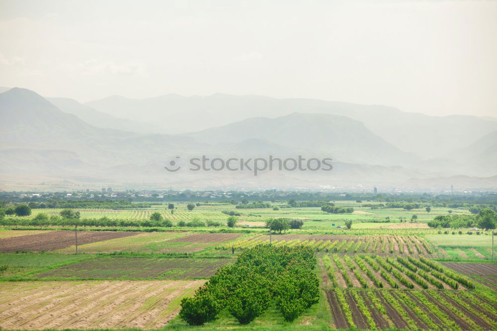 Neretva Delta in Kroatien