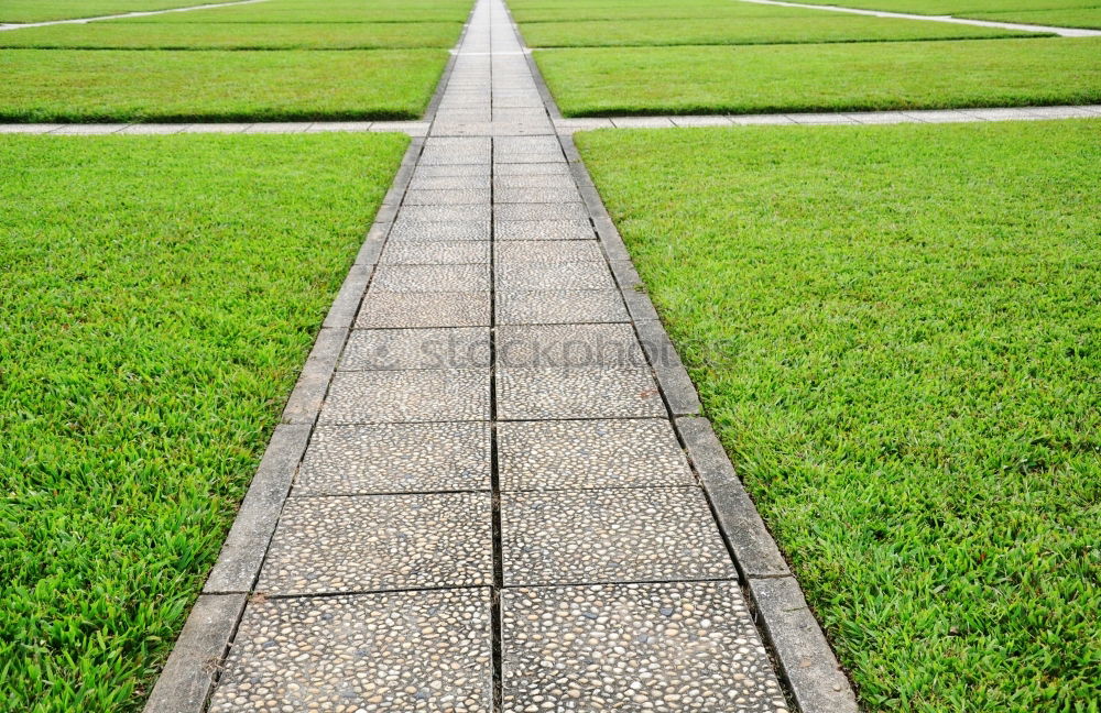 Similar – Velodrom Treppe Niveau