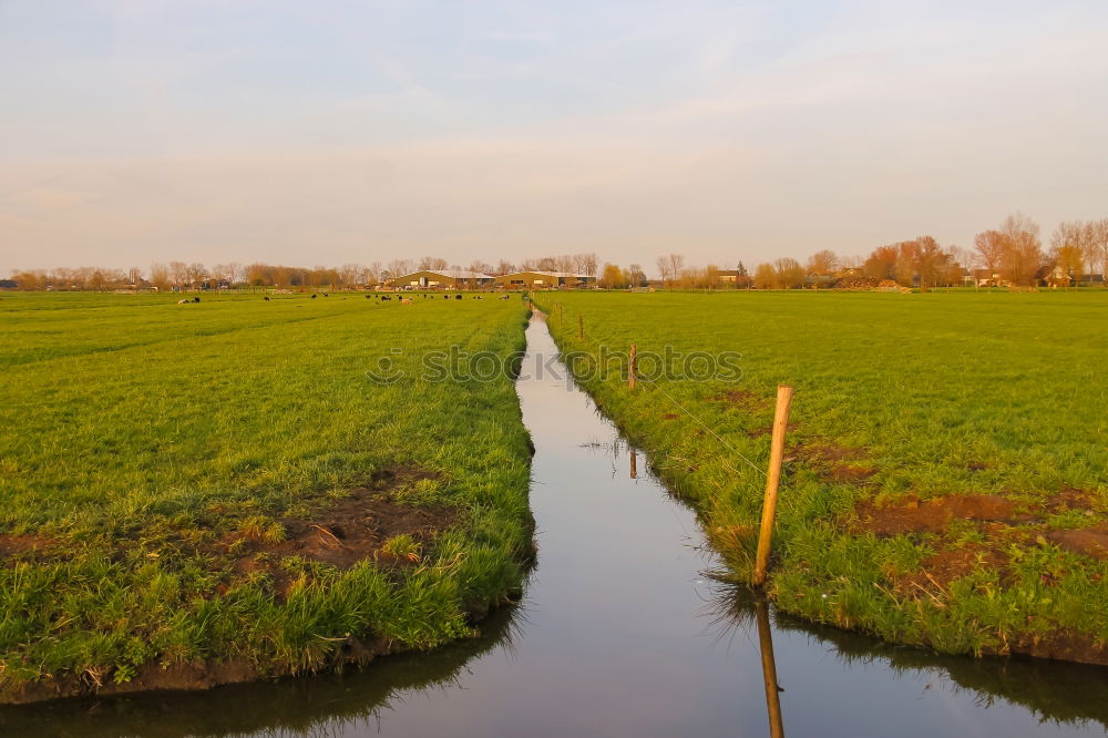 Similar – Image, Stock Photo the marshmallow plantation