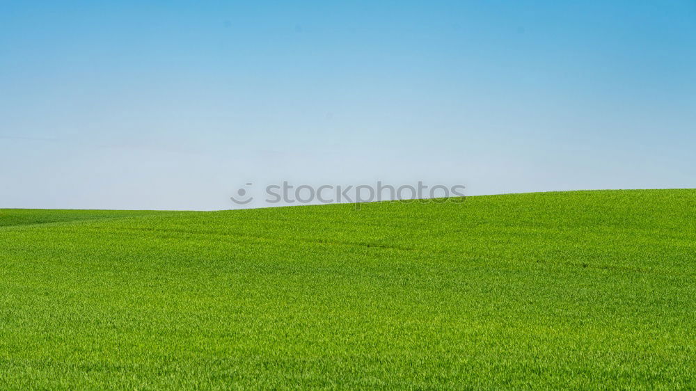 Similar – Image, Stock Photo trace Field Agriculture