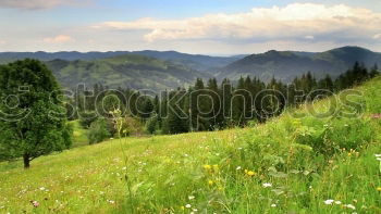 Similar – happy lovers on Holiday in the alps mountains