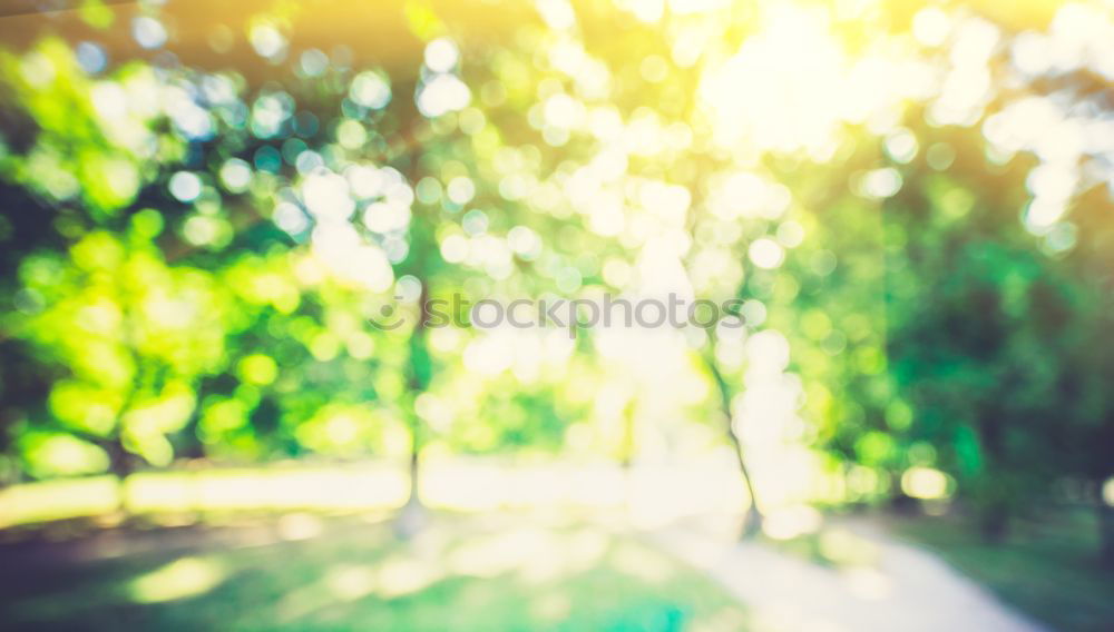Similar – Foto Bild Regenfänger Garten