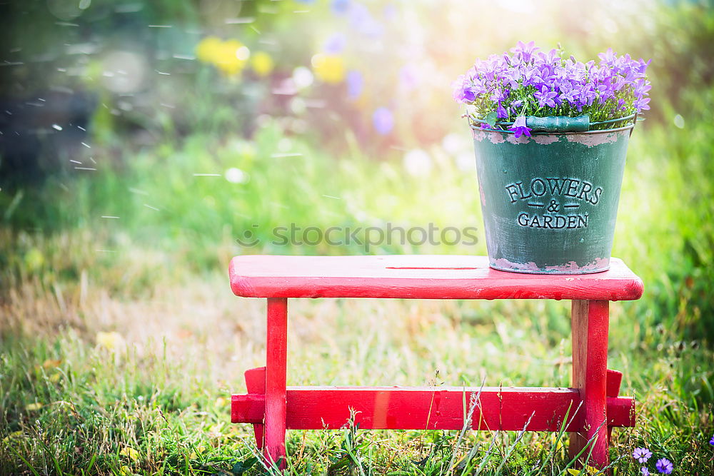 Similar – Old watering can with garden flowers