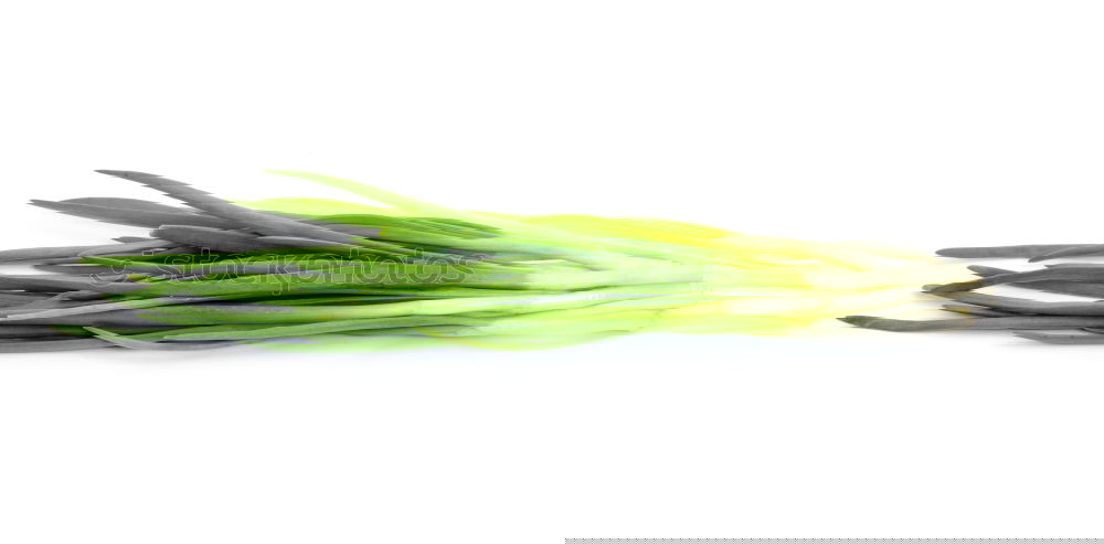 Similar – Image, Stock Photo bunch spring onions Food