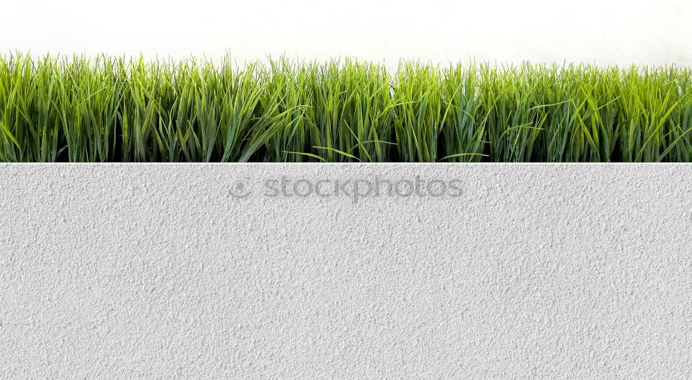 Similar – Image, Stock Photo green ways (1) Pave Furrow