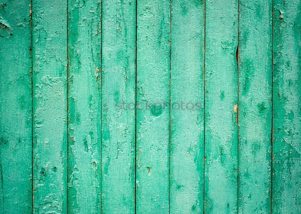 Similar – Image, Stock Photo garden time Garden plot