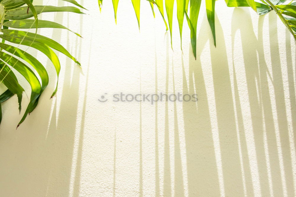 Similar – Image, Stock Photo a place for the leisure hour