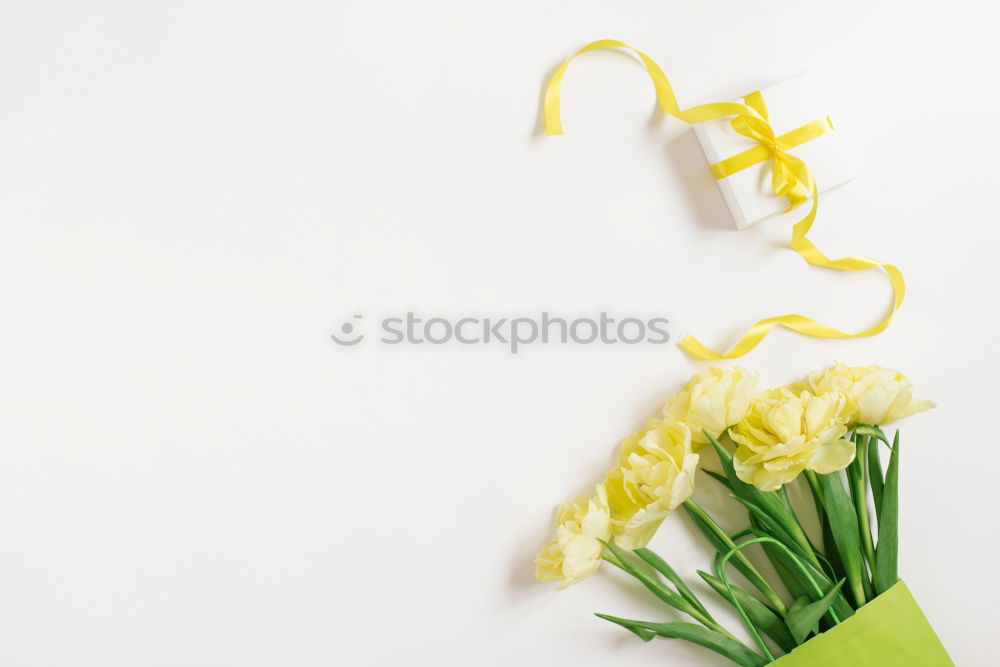 Image, Stock Photo manfred krug Orchid Vase